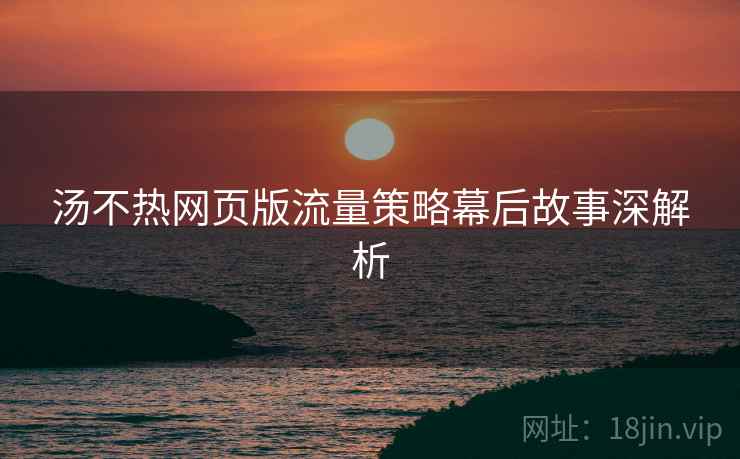 汤不热网页版流量策略幕后故事深解析