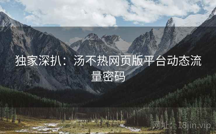 独家深扒：汤不热网页版平台动态流量密码