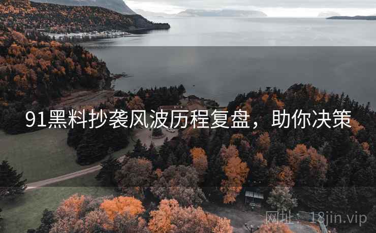 91黑料抄袭风波历程复盘，助你决策