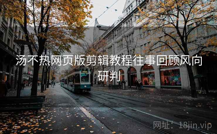 汤不热网页版剪辑教程往事回顾风向研判