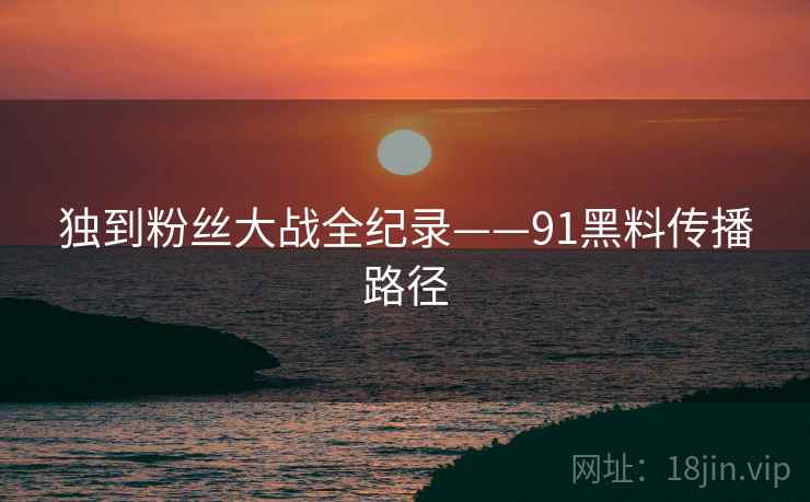 独到粉丝大战全纪录——91黑料传播路径