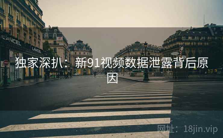 独家深扒：新91视频数据泄露背后原因