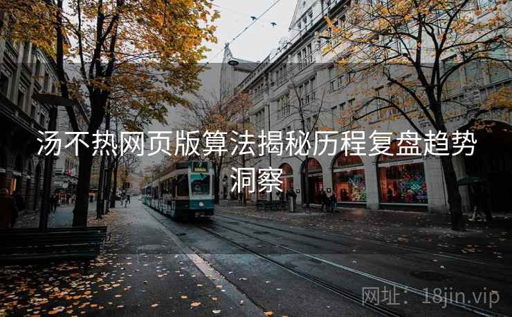 汤不热网页版算法揭秘历程复盘趋势洞察